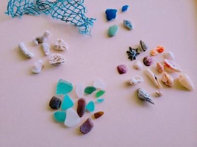 天然素材のシーボトル制作キット（１本用）工作 インテリア 雑貨 海 小物 貝殻 サンゴ 夏休み【R00067】