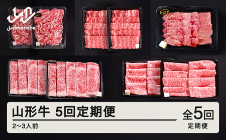山形牛 5回 定期便 2~3人前   すき焼き  焼肉  肩ロース バラ切り落とし  カルビ モモ  tf-tkygx1560
