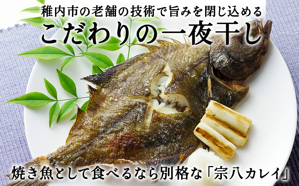 【定期便3ヶ月】一夜干し 宗八 カレイ 4パックセット【北海道の居酒屋気分】