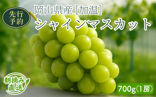 【2026年先行予約】［加温］岡山県産シャインマスカット 700g（１房入）