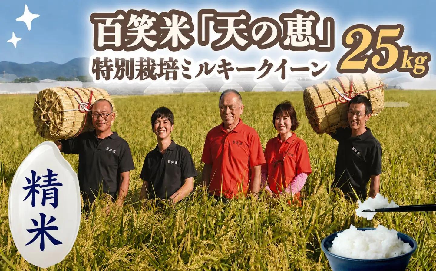 【 精米 】 百笑米 「 天の恵 」 有機栽培 ミルキークイーン 25kg R8年産 新米 米 コメ 茨城県 単一米