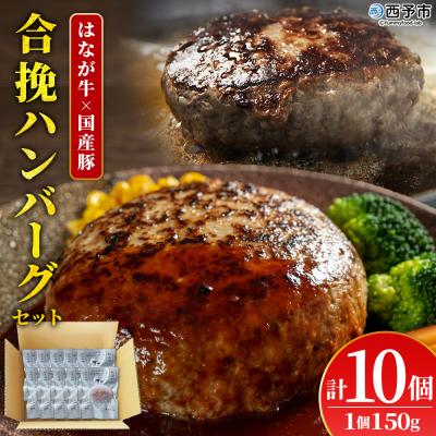 ふるさと納税 西予市 &lt;合挽ハンバーグセット 10個(1個150g)&gt; セット ハンバーグ はんばーぐ 合挽