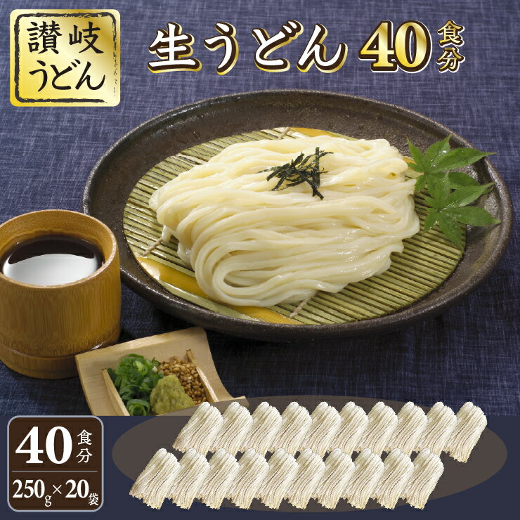 【ふるさと納税】讃岐うどん 生うどん 生麺 250g×20袋（40食）【1〜2ヶ月程度で発送】