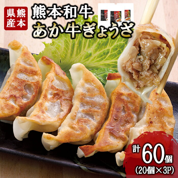 【ふるさと納税】熊本和牛 あか牛 熊本県産 肥育 加工品 阿蘇 熊本 褐毛和種 褐牛 和牛 ご当地 あか牛100% 牛肉 餃子 ぎょうざ 20個 3セット 計60個 ジューシー 惣菜 おかず ご飯のお供 熊本名物 ご家庭用 ギフト 贈答用 三協畜産 小国町 送料無料【地場産品：類型8ハ】