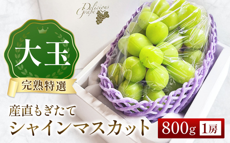 【産直もぎたて】大玉 特選 シャインマスカット 800g（国産 フルーツ 果物 くだもの ブドウ ぶどう 旬  2026 大玉 厳選 限定） シャインマスカット シャインマスカット シャインマスカット シャインマスカット シャインマスカット
