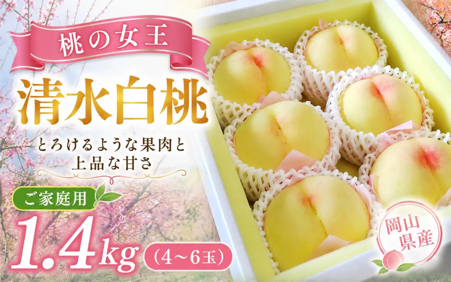 桃【2026年先行予約】 完熟清水白桃 約1.4kg（4～6玉）岡山県産 ご家庭用 もも 白桃 フルーツ 果物くだもの 清水白桃 もも モモ 完熟 きびもも園 真庭市【kbmm001】
