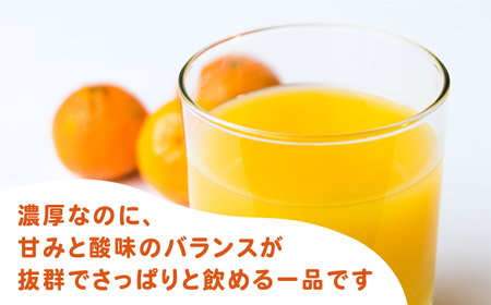 ＜全3回定期便＞ 【佐賀県産温州みかん使用】さがみかん100　総計18本（1L×6本）【JAさが 杵島支所】果汁100% 濃縮還元[HAM040]