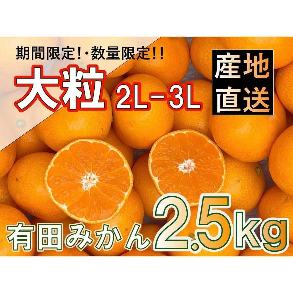有田みかん 大粒 サイズ 2.5kg 厳選みかん