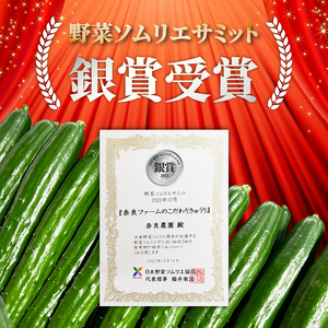 【2026年度発送 先行予約】 ＜産直＞きゅうり50本 野菜 野菜 野菜 野菜 きゅうり きゅうり きゅうり