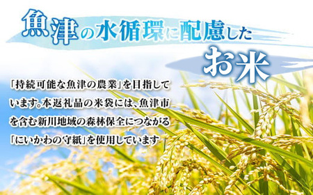 12ヶ月定期便「魚津のコシヒカリ（晃米）」5kg（白米）環境配慮おこめ 富山県魚津市 MK農産