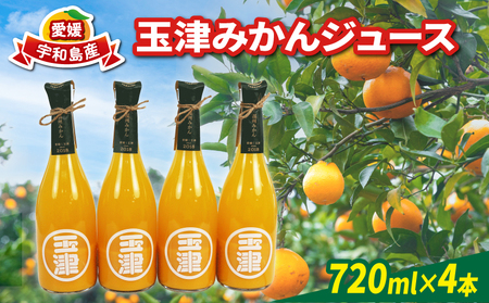 玉津 みかんジュース 温州みかん 720ml× 4本 玉津柑橘倶楽部 先行予約 100％ジュース ストレートジュース ジュース 愛媛みかん 愛媛蜜柑 愛媛ミカン うんしゅう みかん mikan 果物 フルーツ 柑橘 濃厚 甘い 甘味 蜜柑 産地直送 数量限定 国産 愛媛 宇和島 H018-072050