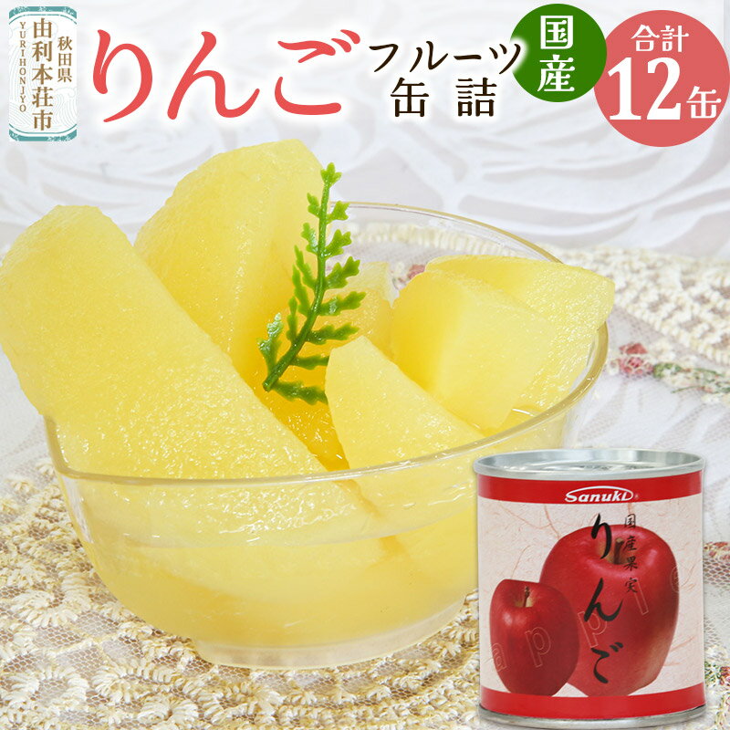 【ふるさと納税】Sanuki フルーツ缶詰 りんご 12缶セット 国産果実 非常食 保存食 業務用