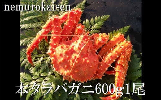 B-57029 【北海道根室産】本タラバガニ600g前後×1尾