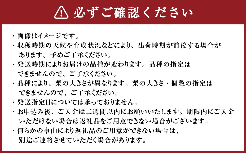 九重町産梨詰め合わせ約3kg