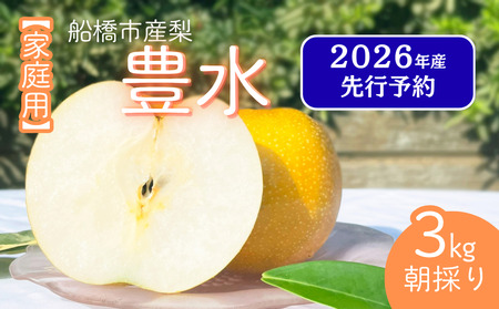【2026年産先行予約】＜家庭用＞果汁たっぷりの極上梨「豊水・3kg」6～9玉 千葉県 船橋市産