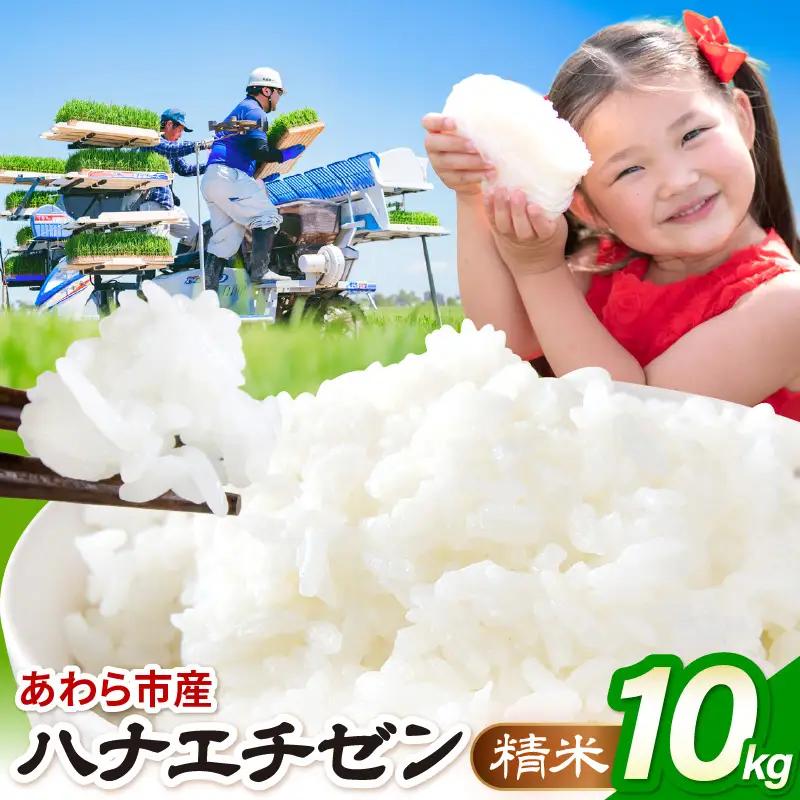 【先行予約】【令和8年産】ハナエチゼン 精米 10kg（農事組合法人イーノなかのはま100）お米 ※2026年10月より順次発送予定 [aw139-a002]