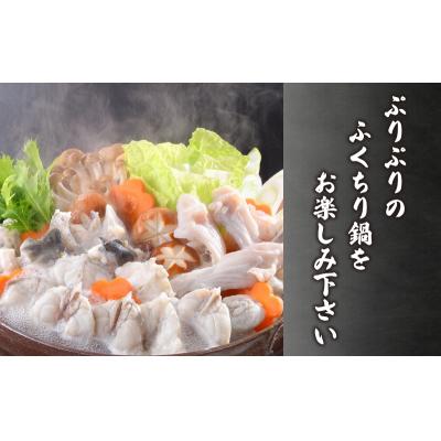 ふるさと納税 下関市 とらふぐ ちり鍋セット 約3〜4人前 ふぐちり 600g 冷凍 下関 AQ206 |  | 01