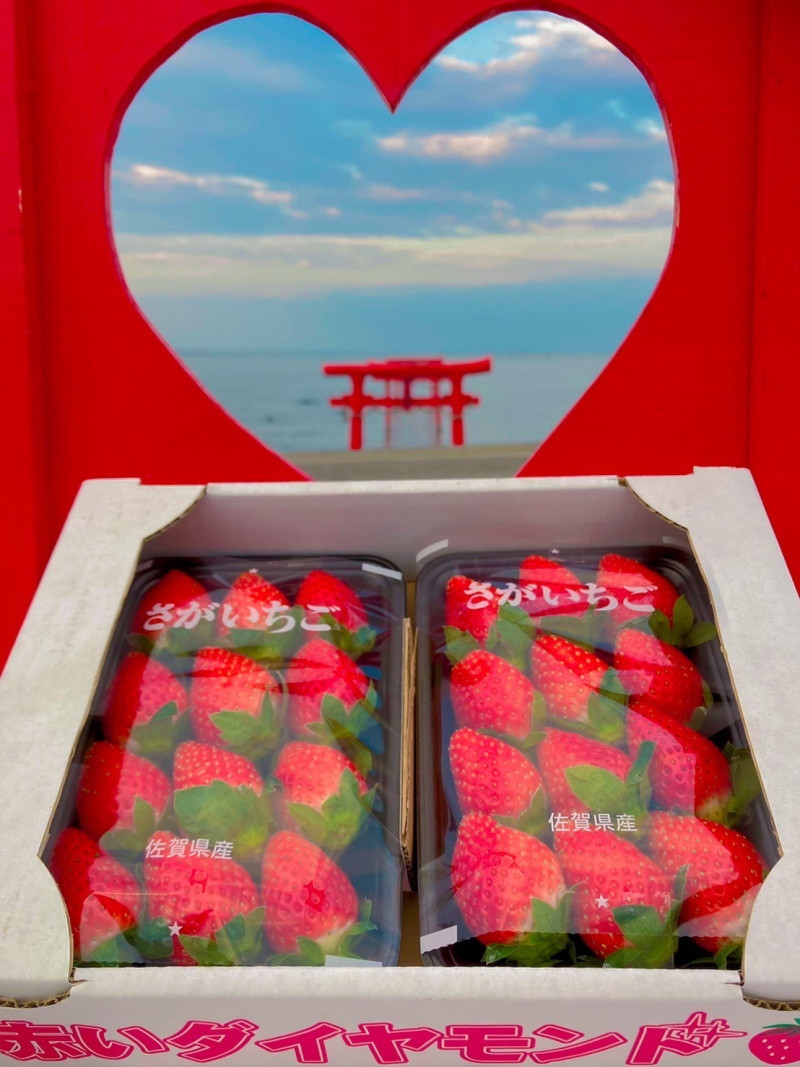 
            L-52 太良町産「かおりの」ソフトパック2P　生産者直送！朝採り苺！ 太良町 かおりの 国産 佐賀県産 太良町産 いちご 苺 イチゴ 甘い 約270g × 2パック 朝採り 果肉がジューシー 糖度高め  葉隠工房 レトロカフェ
          