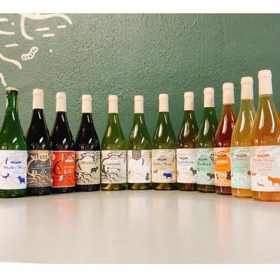 ふるさと納税 上富良野町 【毎月定期便】野生酵母ワイン 赤白泡オレンジ●月2本●多田ワイナリー全6回