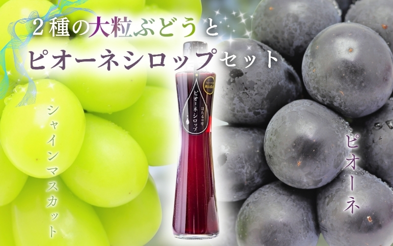 .NISSHOKU　FARM　特選　大粒ぶどうとピオーネシロップのセット（シャインマスカット入り）岡山【C-11】