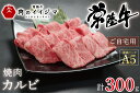 【ふるさと納税】 お中元 焼肉 カルビ 和牛 黒毛和牛 焼き肉 ギフト お礼 お祝い 内祝い 結婚祝い 誕生日プレゼント 食べ物 常陸牛A5焼肉カルビご自宅用300g 母の日 敬老の日 バーベキュー BBQ ギフト対応 【肉のイイジマ】 茨城県 水戸市 （DU-53）