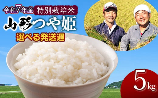 【令和7年産先行予約・発送時期11/24～11/30】 特別栽培米 山形つや姫 精米5kg　山形県鶴岡市産　鶴岡ファーマーズ