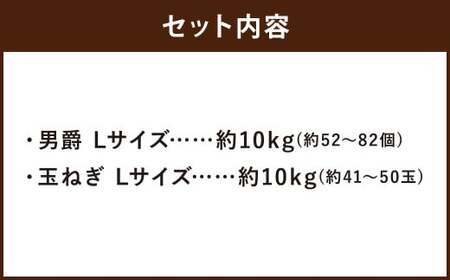 じゃがいも 男爵 Lサイズ 約10kg×1箱・玉ねぎ L大サイズ 約10kg×1箱 （JA） 計約20kg セット ジャガイモ 芋 いも イモ 玉葱 タマネギ たまねぎ 詰め合わせ 詰合せ 国産 【2