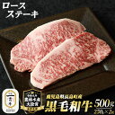 【ふるさと納税】黒毛和牛 ロースステーキ 250g × 2枚 計500g 黒毛和牛 和牛 特産品 国産 牛 ウシ 牛肉 ステーキ ステーキ肉【宮路ファーム】f-miyaji-1248