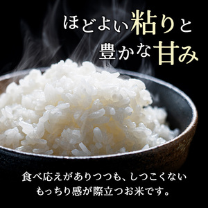 【3ヵ月定期配送】(無洗米20kg)ホクレンゆめぴりか(無洗米5kg×4袋)
