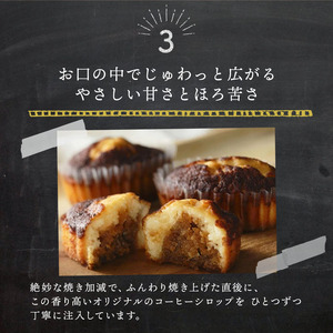 焼きティラミス 6個入り【SZ0000042】