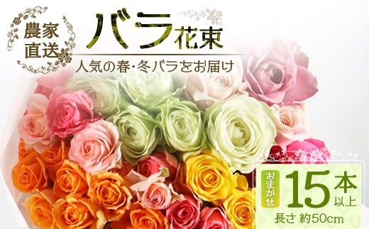 【先行予約】【人気の春・冬薔薇をお届け】ばら農家直送！バラ花束15本以上お届け(色はおまかせ) 【ギフト対応可】│ローズ 新鮮 花 フラワー 花束 ばら 薔薇 バラ 誕生日 記念日 結婚祝い ギフト プレゼント お祝い 贈り物 贈答 鹿児島県 南大隅町 富田バラ園 TB-12
