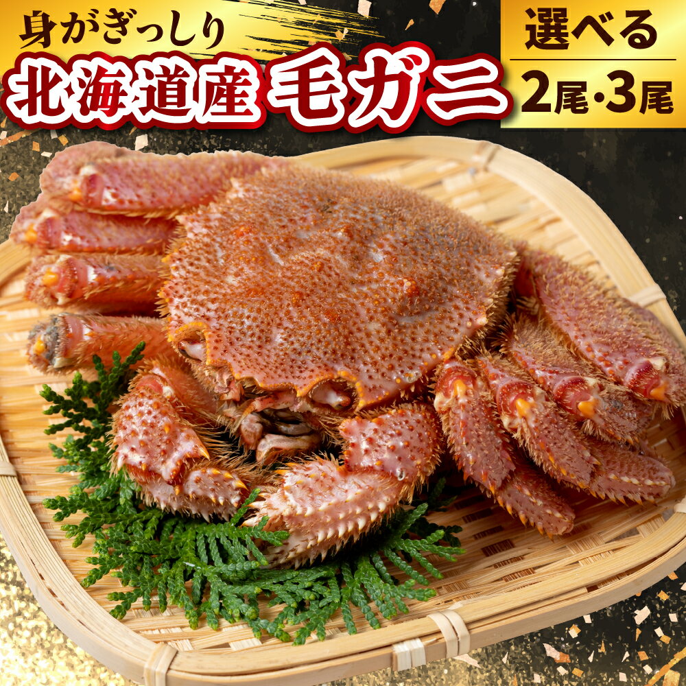 【ふるさと納税】 北海道産 毛ガニ【内容量が選べる】（450g × 2尾 / 3尾） 毛がに 茹で毛蟹 ボイル ボイル済み 茹で かに 蟹 姿 かにみそ かに鍋 冷凍 魚介 魚介類 海鮮 海の幸 海産物 お取り寄せ 国産 北海道 えりも町