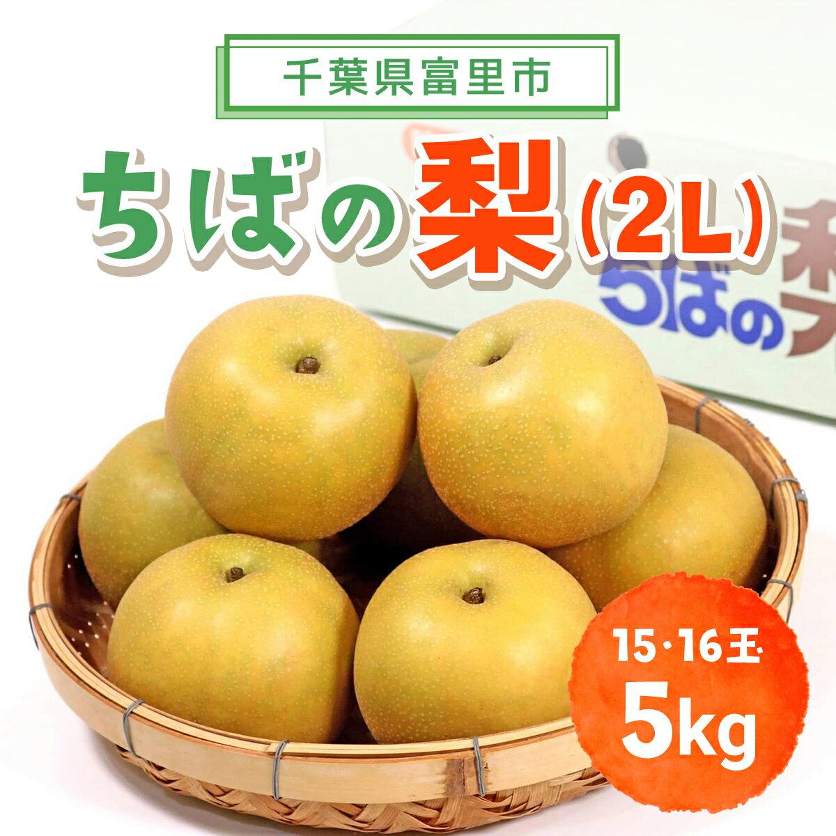 【ふるさと納税】【2025年発送先行予約】【数量限定】【期間限定】旬をお届け！富里市産 梨　2L　5kg（15,16玉）/ なし 梨 秋の味覚 産地直送 甘い 旨味 送料無料 期間限定 数量限定 JA JA富里 農協 ちば 千葉県産とみさと 富里 富里市 TMF009
