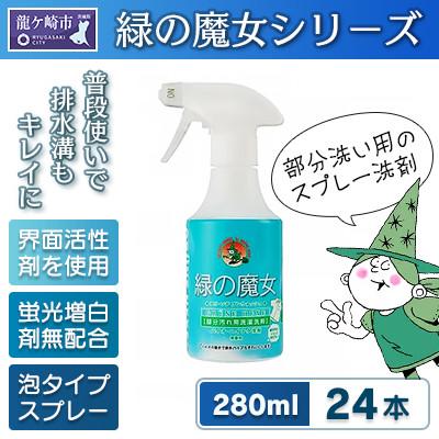 ふるさと納税 龍ケ崎市 新製品　2024年春頃発売　部分洗い洗剤　無香料　緑の魔女エリソデプレウォッシュ　280mL×24