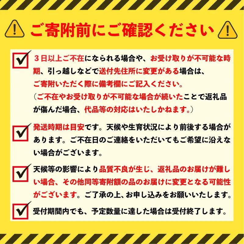 スーパーフルーツトマト 約1.2kg × 1箱 《2月上旬-6月上旬頃出荷》 フルーツトマト トマト 【2027年発送】