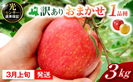 【2027年3月上旬発送】おまかせ 訳ありりんご 約 3kg  青森 |選べる配送時期|  りんご 青森 五所川原