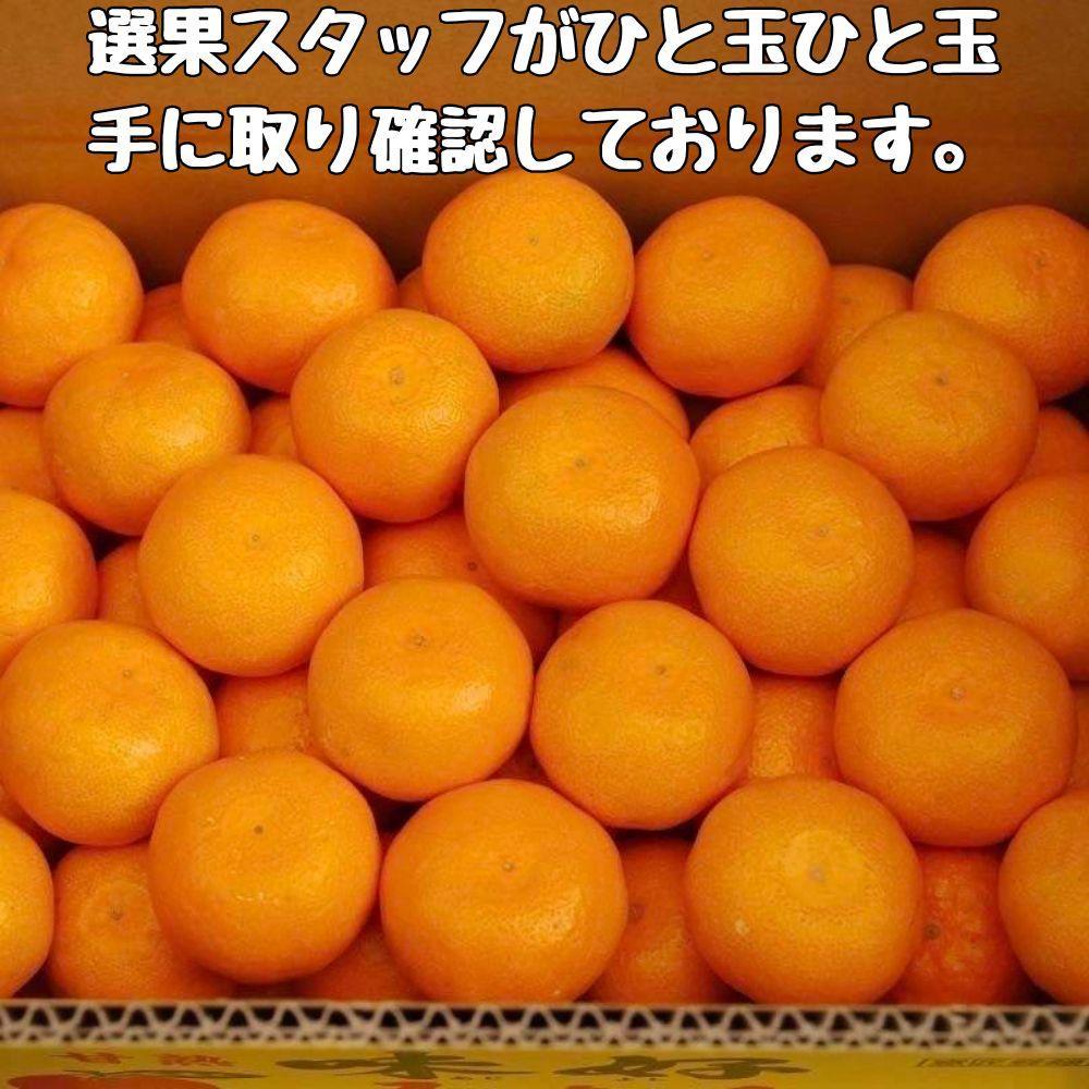 有田みかん 早生S～Lサイズ混合 約5kg【2026年発送 先行予約】 ER03