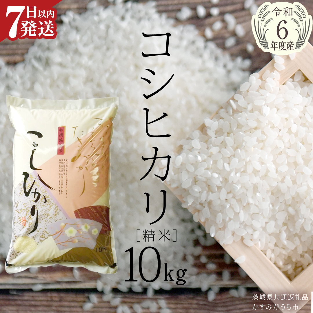 【令和6年産】 コシヒカリ 精米 10kg ( 10kg × 1袋 ) (茨城県共通返礼品 かすみがうら市) 米 ごはん もっちり 甘い コメ お米 白米 [EX009sa]