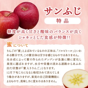 江刺りんご サンふじ 10kg（28～40玉）【2025年1月中旬以降お届け】 [AQ012]