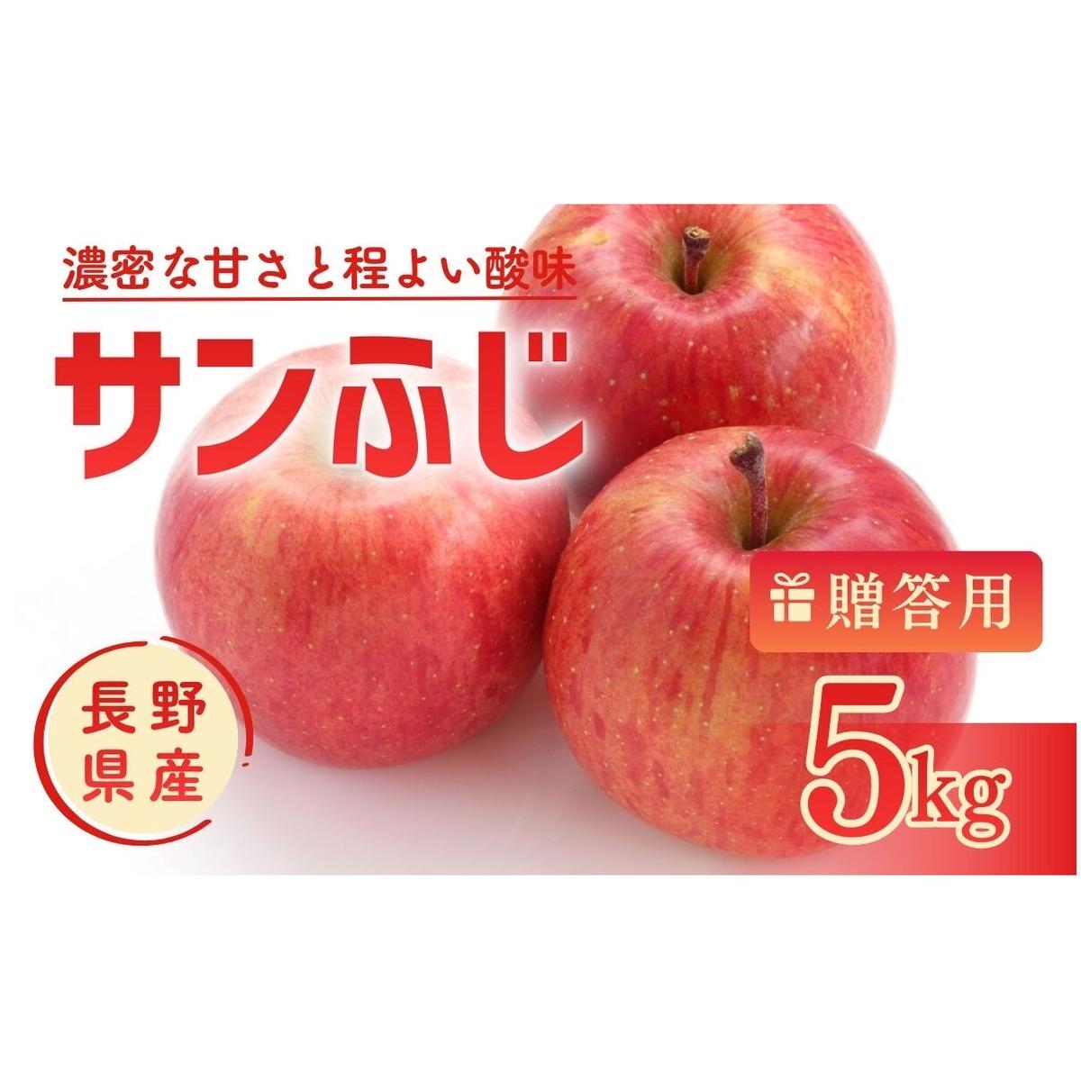 【ふるさと納税】りんご サンふじ 5kg 贈答用 信州 フルーツ 果物　サンふじりんご 林檎 リンゴ サンふじ くだもの 旬の果物 旬のフルーツ 信州産 長野県産 長野 長野県 上田市　お届け：2026年11月下旬～12月上旬まで