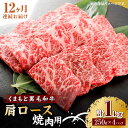 【ふるさと納税】【12回定期便】くまもと黒毛和牛 焼肉用 肩ロース 1000g（250g×4pc）【馬刺しの郷 民守】[ZBL121]