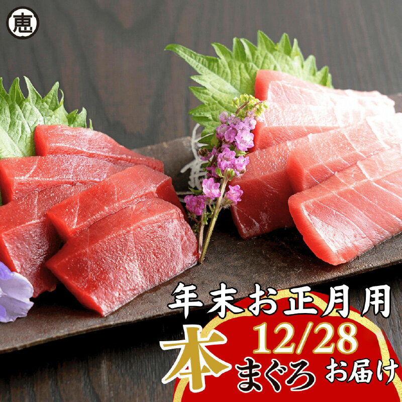 【ふるさと納税】【年末・正月用/12月28日お届け】 天然 本まぐろ お祝い寿セット 中トロ200g 赤身200g 迎春 三崎まぐろ マグロ 鮪 刺身 魚 魚介 冷凍 おいしい 天然 三崎恵水産 神奈川県 三浦市 おすすめ ランキング プレゼント ギフト
