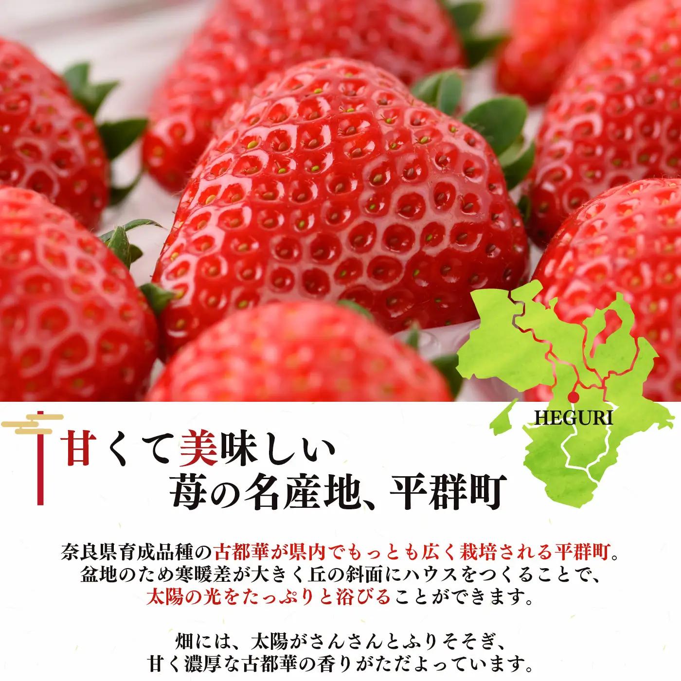 平群 の 古都華 サイズ おまかせ （ M ～ 2L サイズ） 2ケース （ 4パック ）| フルーツ いちご 古都華 先行予約 奈良県 平群町