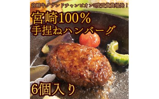 DI-001_宮崎牛100％手捏ねハンバーグ　～宮崎牛グランドチャンピオン5度受賞農場発！