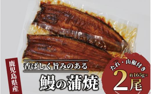 
鹿児島県産 鰻の蒲焼(無頭背開き)約165g×2尾(山中水産/016-1065) うなぎ 国産 鹿児島 蒲焼 丑の日 丑 土用丑の日
