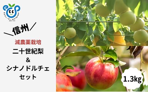 HF34-25A 【信州松川町産】二十世紀梨＆シナノドルチェ 梨とりんご2種セット 約1.3kg ／9月後半発送開始予定  // 長野県 南信州  減農薬栽培 りんご シナノドルチェ 洋梨 二十世紀梨 20世紀 ２０世紀