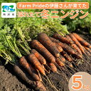 【ふるさと納税】採れたての絶品！冬ニンジン5kg 彩誉(あやほまれ) Farm Pride | 人参 にんじん ニンジン キャロット 野菜 緑黄色野菜 スムージー スティック 料理 煮物 カレー シチュー ジュース カロテン ビタミン 産地直送 おいしい おすすめ 新鮮 フレッシ 埼玉県 所沢市