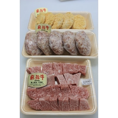 【ふるさと納税】【飛騨牛づくし】鳥文のファミリーセットB【配送不可地域：離島】【1125937】