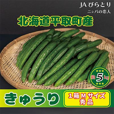ふるさと納税 平取町 【先行予約/8月以降発送】秀品キュウリ1箱Мサイズ(約5kg)
