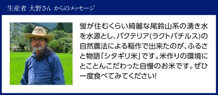 【 令和５年産 】 宮崎県産 こしひかり 「 シタギリ米 」 １０kg 【 米 お米 白米 精米 国産 宮崎県産 こしひかり おにぎり 】